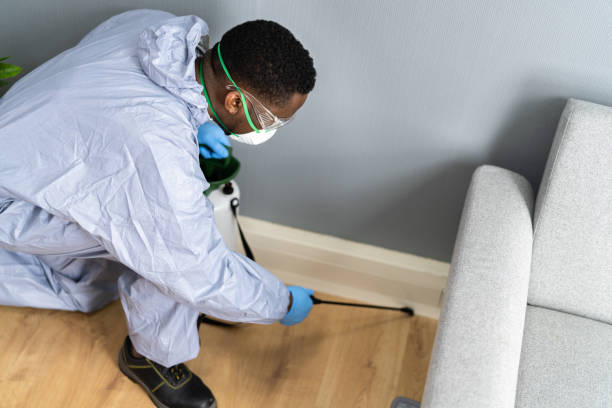 Best Residential Pest Control  in Rosanky, TX